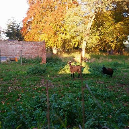 Le Jardin Des Ecureuils Demuin Exterior foto