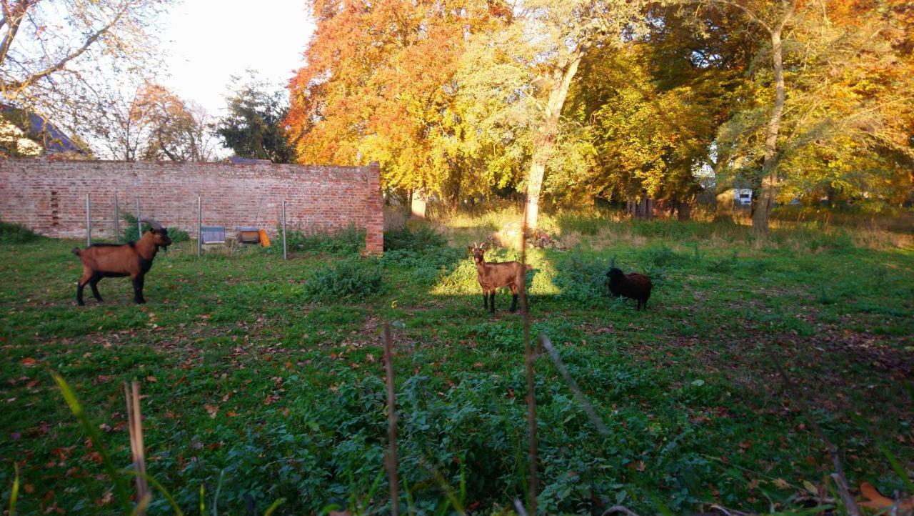Le Jardin Des Ecureuils Demuin Exterior foto